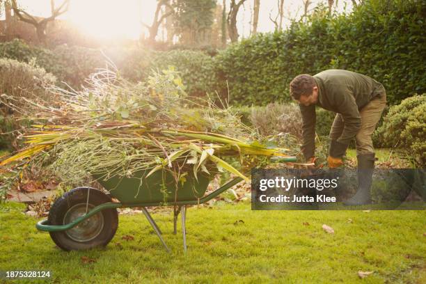 gardener removing weeds - jardinería fotografías e imágenes de stock