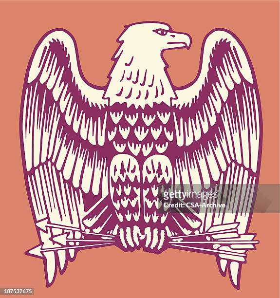 bald eagle holding three arrows - eagle stock illustrations