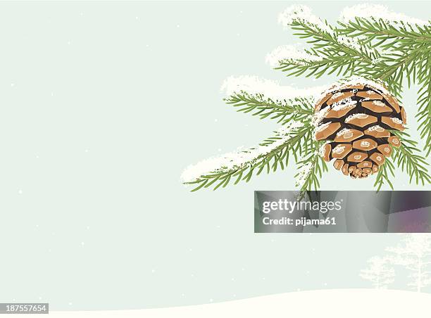 snow pine branch - frosted pinecone stock illustrations