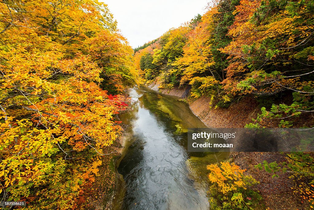 Autumn Valley