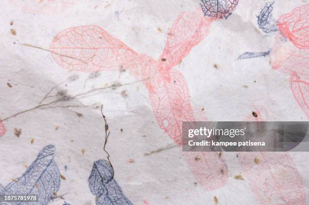 Muberry Paper Mulberry Paper Texture Photos and Premium High Res Pictures - Getty Images