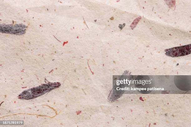 Muberry Paper Mulberry Paper Texture Photos and Premium High Res Pictures - Getty Images