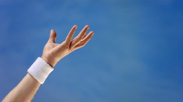Hand Catching Hand Catching A Ball Videos and HD Footage - Getty Images