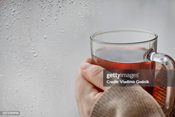 human hands holding a mug of tea next to a window with condensation on it - rear view hand window stockfoto's en -beelden