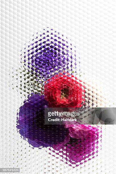an abstract view of oriental poppies behind beveled glass - mohn pflanze stock-fotos und bilder