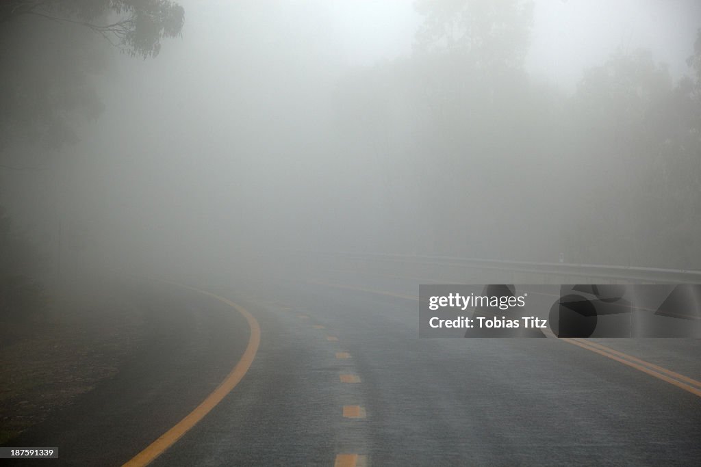 Misty road in Jindabyne, New South Wales, Australia
