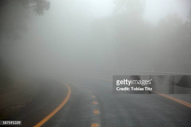 misty road in jindabyne, new south wales, australia - foggy road stock pictures, royalty-free photos & images