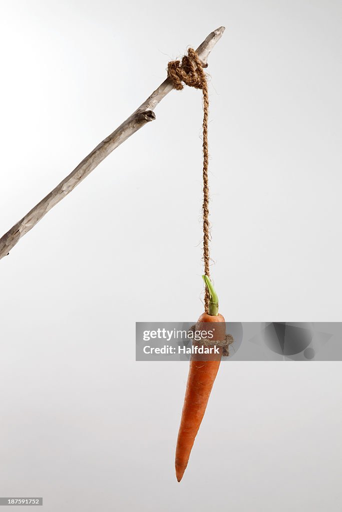 A carrot hanging on a string