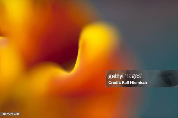 multicolored abstract light - part of a series stock illustrations