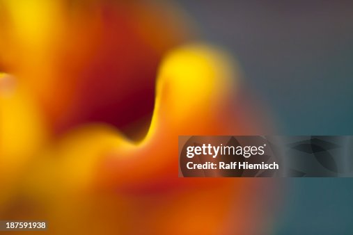 Multicolored abstract light Multicolored abstract light