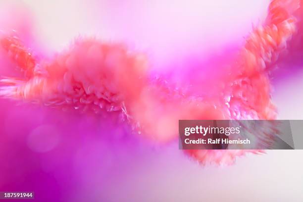 multicolored abstract pattern - rosa color stock-grafiken, -clipart, -cartoons und -symbole