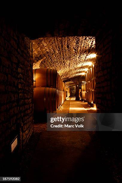 view down the corridor of a wine cellar - wijnkelder stockfoto's en -beelden