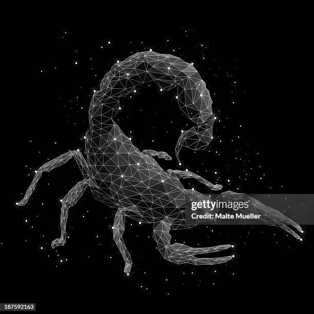 the constellation of scorpion - skorpion stock-grafiken, -clipart, -cartoons und -symbole