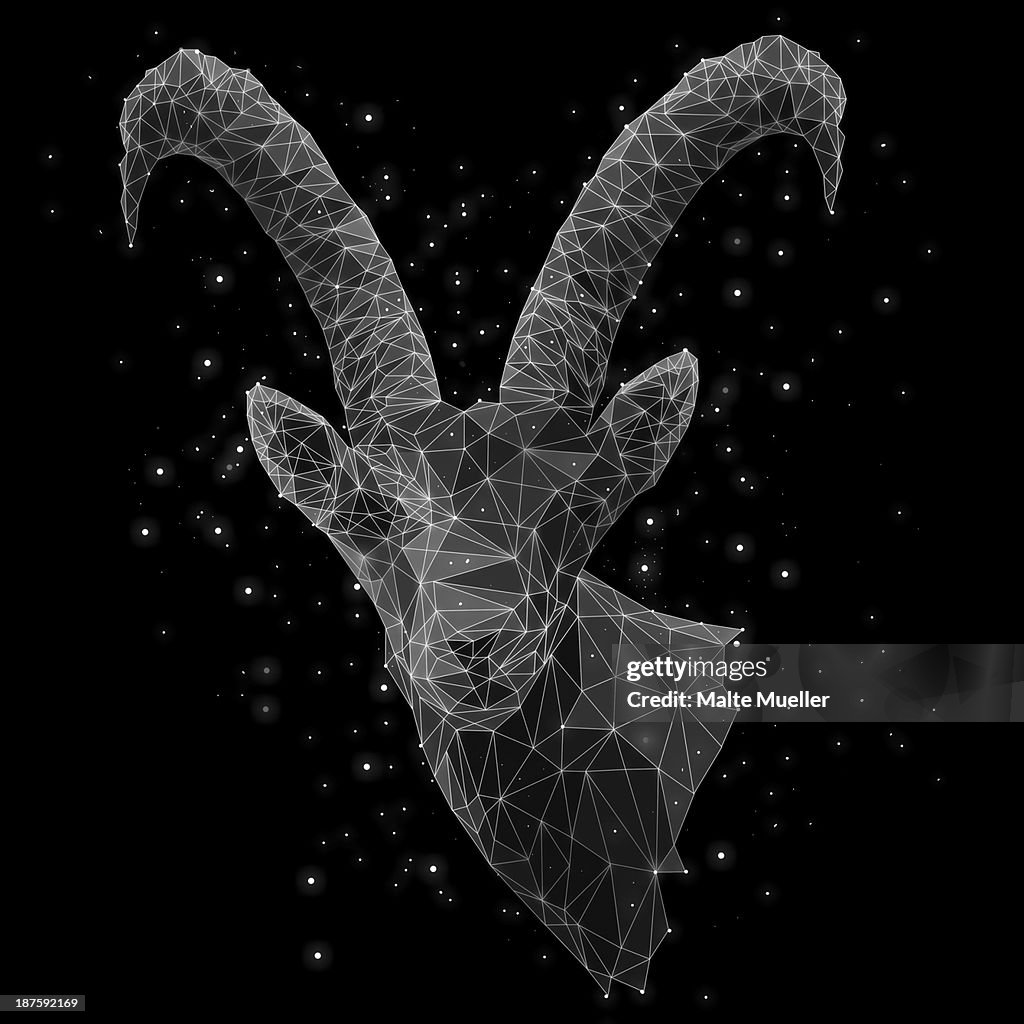 The constellation of Capricorn