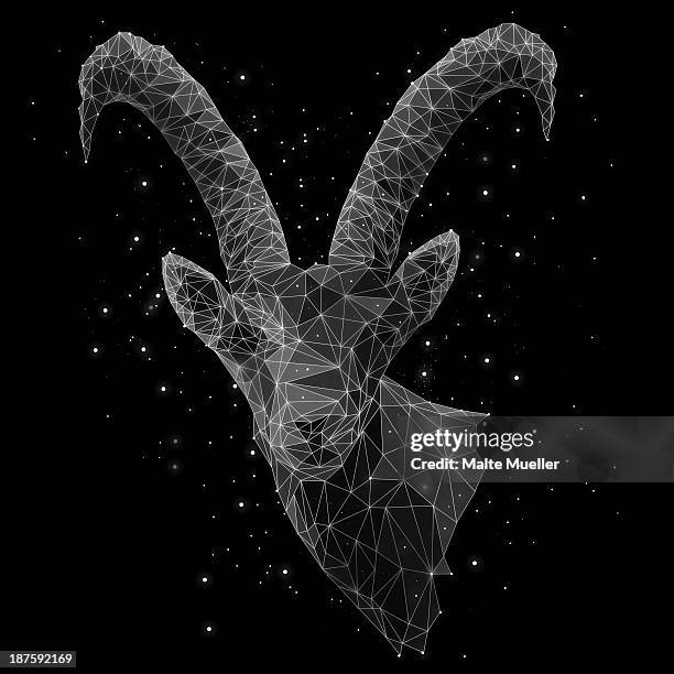 the constellation of capricorn - steinbock erdzeichen stock-grafiken, -clipart, -cartoons und -symbole