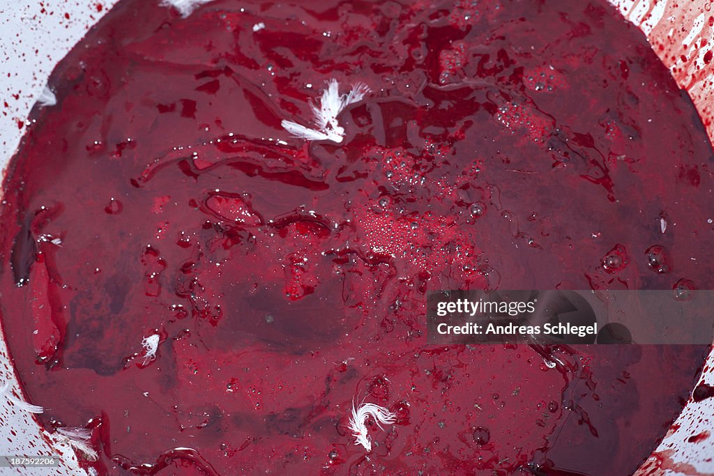 A heap of goose blood with some feathers stuck in it, close-up