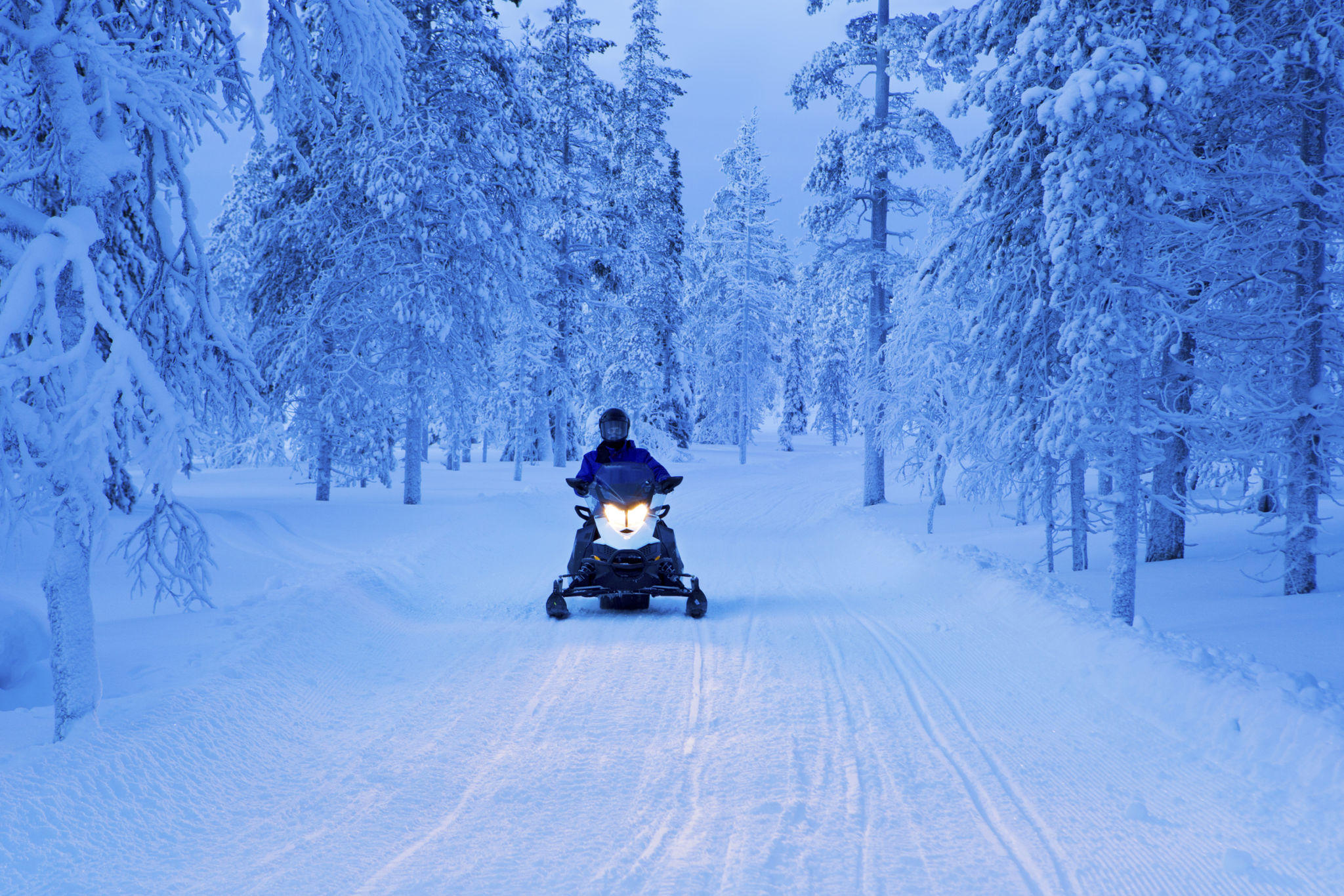 snowmobile trail forest