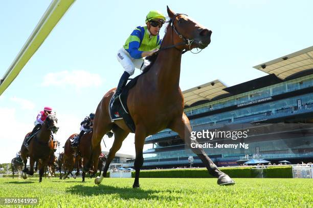 Chad Schofield riding Cripps Tonite wins Race 4 Midway during Sydney Racing at Royal Randwick Racecourse on December 23, 2023 in Sydney, Australia.