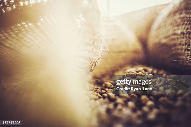 burlap bags of green coffee beans - coffee bag stock pictures, royalty-free photos & images