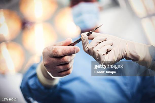 médico dando cirurgia - bisturi imagens e fotografias de stock