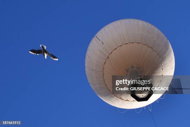 Hot air baloon and a seagull fly over Turin on November 11, 2013. AFP PHOTO / GIUSEPPE CACACE