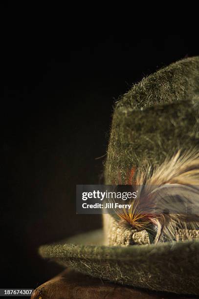 vintage hat - feather hat stock pictures, royalty-free photos & images