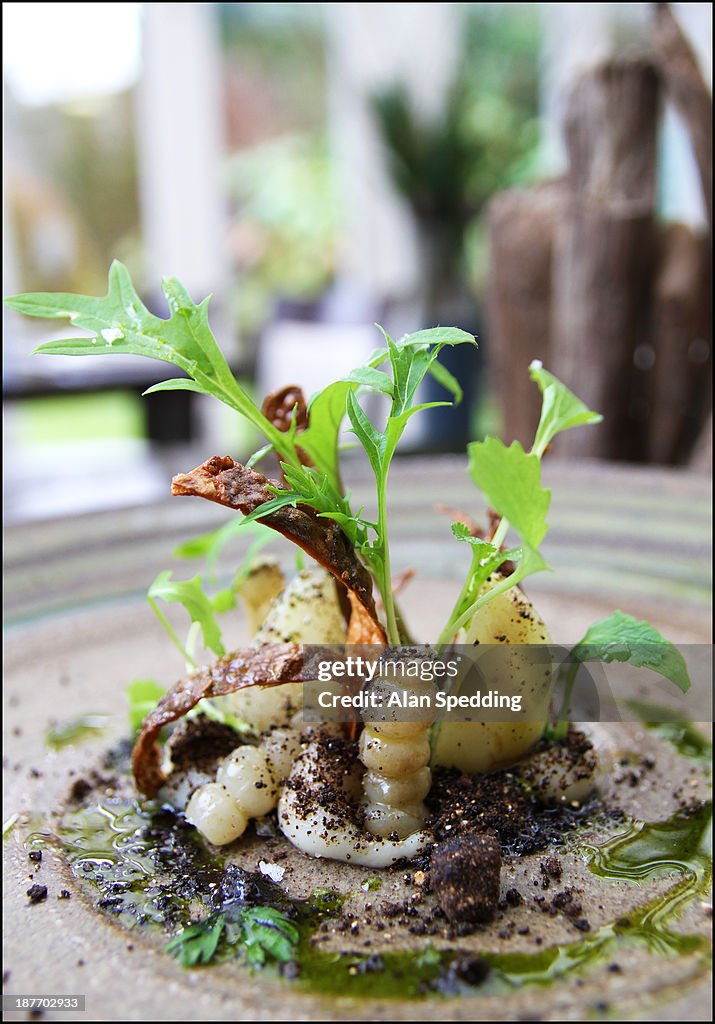 Artichoke flesh and skin, Crosnes , fresh goats