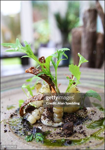 artichoke flesh and skin, crosnes , fresh goats - cartmel cumbria stock pictures, royalty-free photos & images