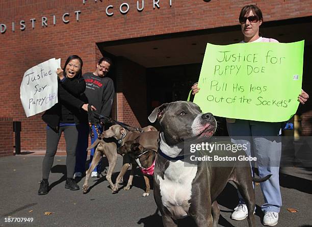 Left to right, Suk Grindle, Lisa Murphy and Toni Foley with pit bull, Blu, stood outside the Francis X. Bellotti District Court of East Norfolk in...
