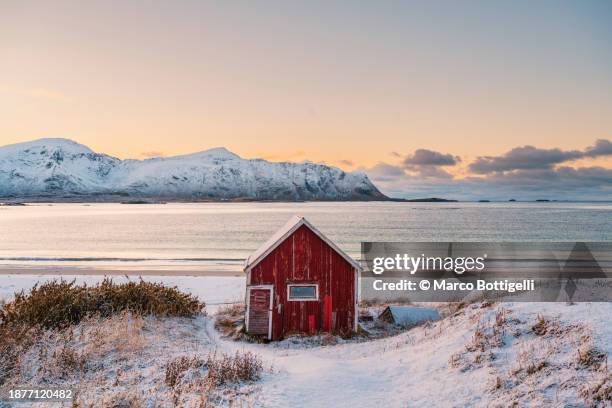 solitary red cabin in a fjord, lofoten islands - huisje stockfoto's en -beelden