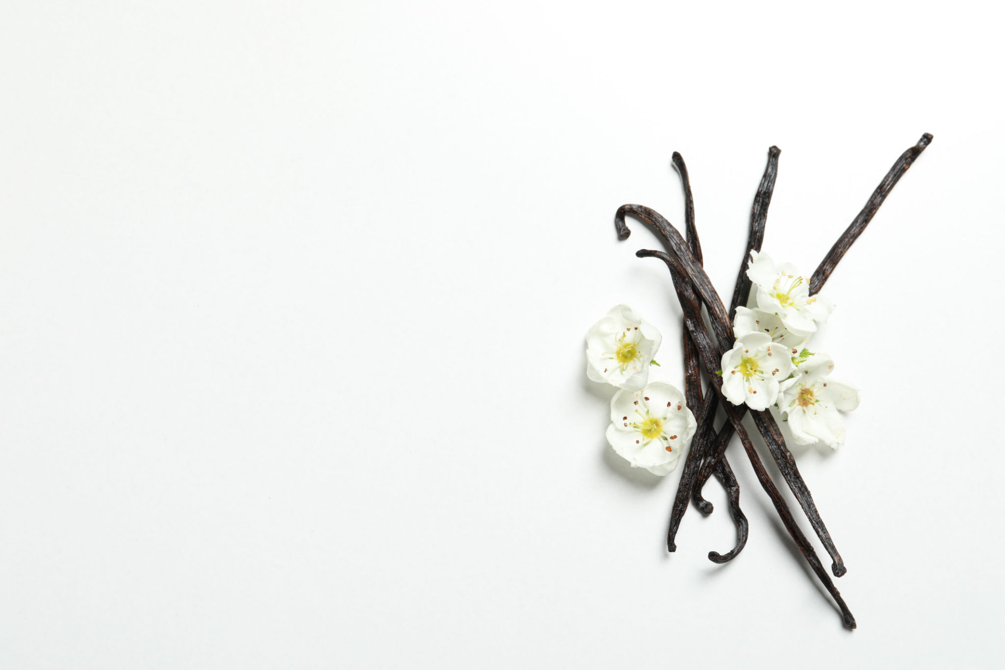 vanilla beans