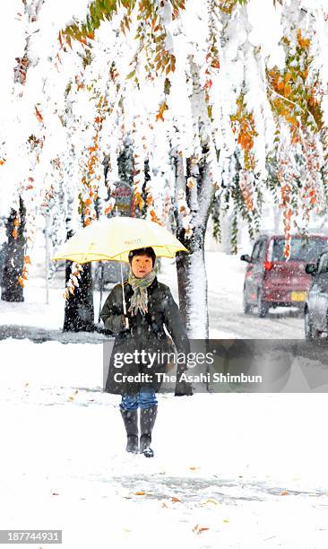 Commutors walk on the covered road on November 12, 2013 in Yokote, Akita, Japan. A typical winter pressure pattern causes snowfall at Sea of Japan...