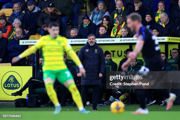 David Wagner, Manager of Norwich City during the Sky Bet Championship match between Norwich City and Huddersfield Town at Carrow Road on December 23,...