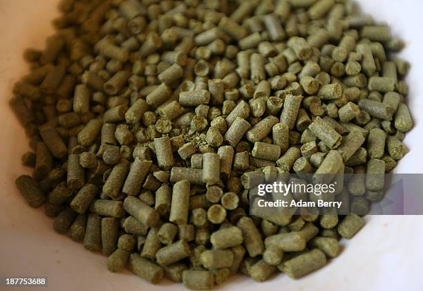 Hops pellets are seen at Hops & Barley brewery on November 12, 2013 in Berlin, Germany. In a country known for centuries for its beer, several...