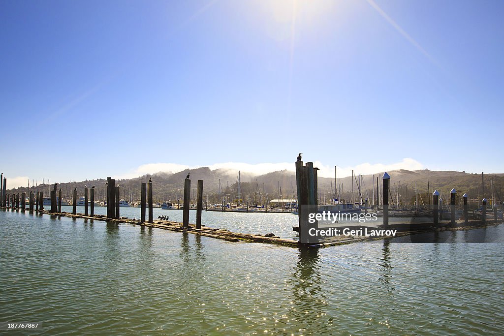 Sailboats in Sausalito, California