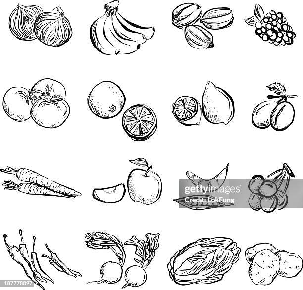ilustraciones, imágenes clip art, dibujos animados e iconos de stock de frutas y verduras en estilo de carbón boceto - ciruela pasa