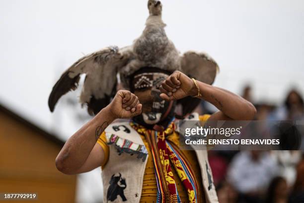 An inhabitant of the province of Chumbivilcas, in Cuzco, southern Peru, wears an animal hat while celebrating Takanakuy in San Juan de Lurigancho, on...