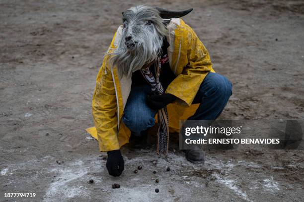 An inhabitant of the province of Chumbivilcas, in Cuzco, southern Peru, wears an animal mask while celebrating Takanakuy in San Juan de Lurigancho,...