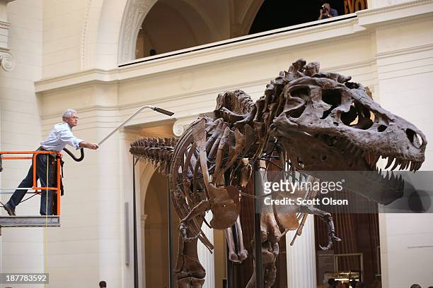 Geologist Bill Simpson cleans Sue, a 67-million-year-old Tyrannosaurus Rex on display at the Field Museum on November 12, 2013 in Chicago, Illinois....