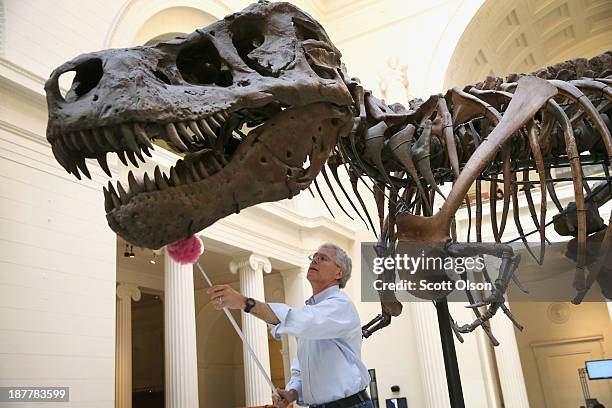 Geologist Bill Simpson cleans Sue, a 67-million-year-old Tyrannosaurus Rex on display at the Field Museum on November 12, 2013 in Chicago, Illinois....