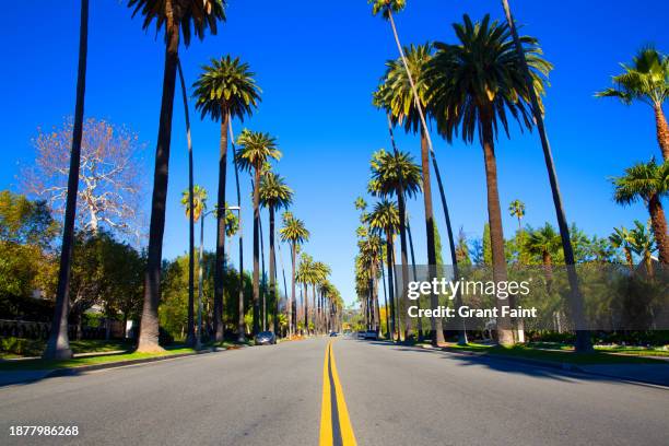 view of beverly hills district street. - hollywood city stock pictures, royalty-free photos & images
