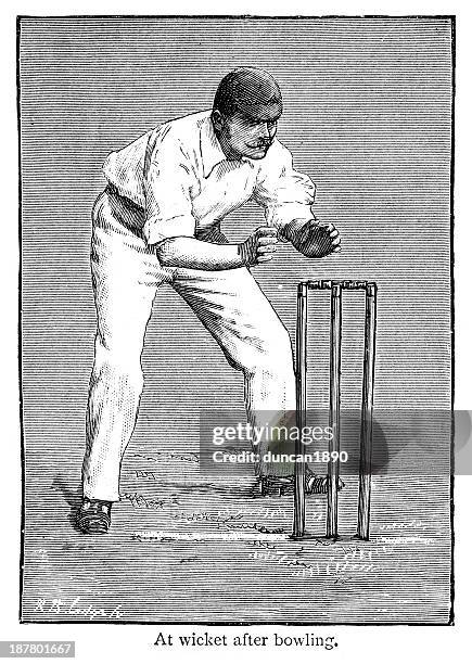 cricket - fielder - cricket catch stock illustrations