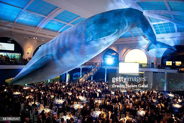 General view of atmosphere at the Milstein Hall of Ocean Life at The American Museum of Natural History on November 12, 2013 in New York City.