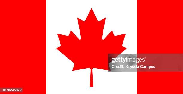 flag of canada - canadian flag stock pictures, royalty-free photos & images