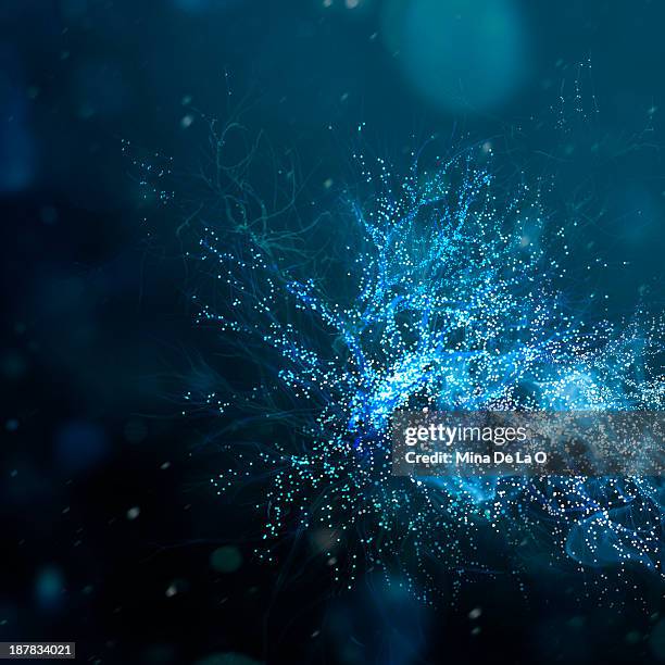 snow-01 - nerve cell stock pictures, royalty-free photos & images