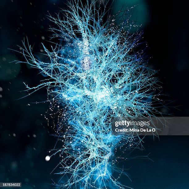 snow-02 - neurone photos et images de collection