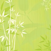 Elegent bamboo background