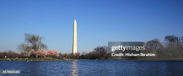 the washington monument - obelisk stock pictures, royalty-free photos & images