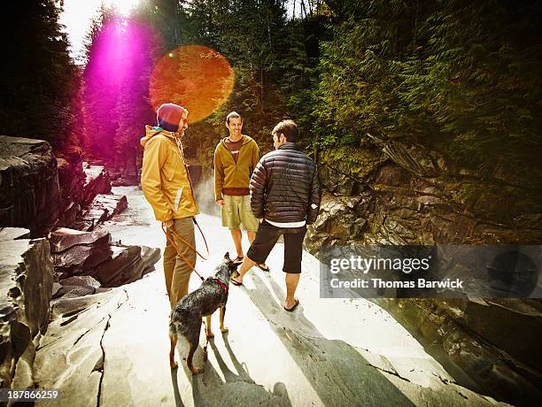 Friends On The Rocks 835 Genesis Rock Group Stock Photos, High-Res Pictures, and Images ...