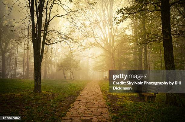 golden fog - new river gorge national park and preserve stock pictures, royalty-free photos & images